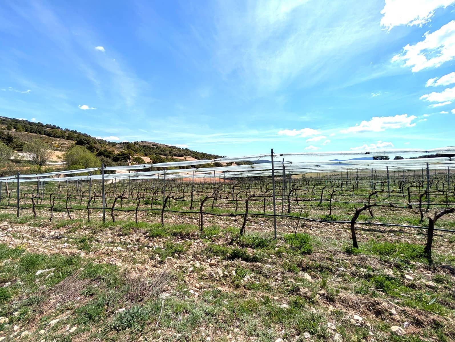 4 soverom Finca/Herregård til salgs i Moratalla - € 950 000 (Ref: 9799408)