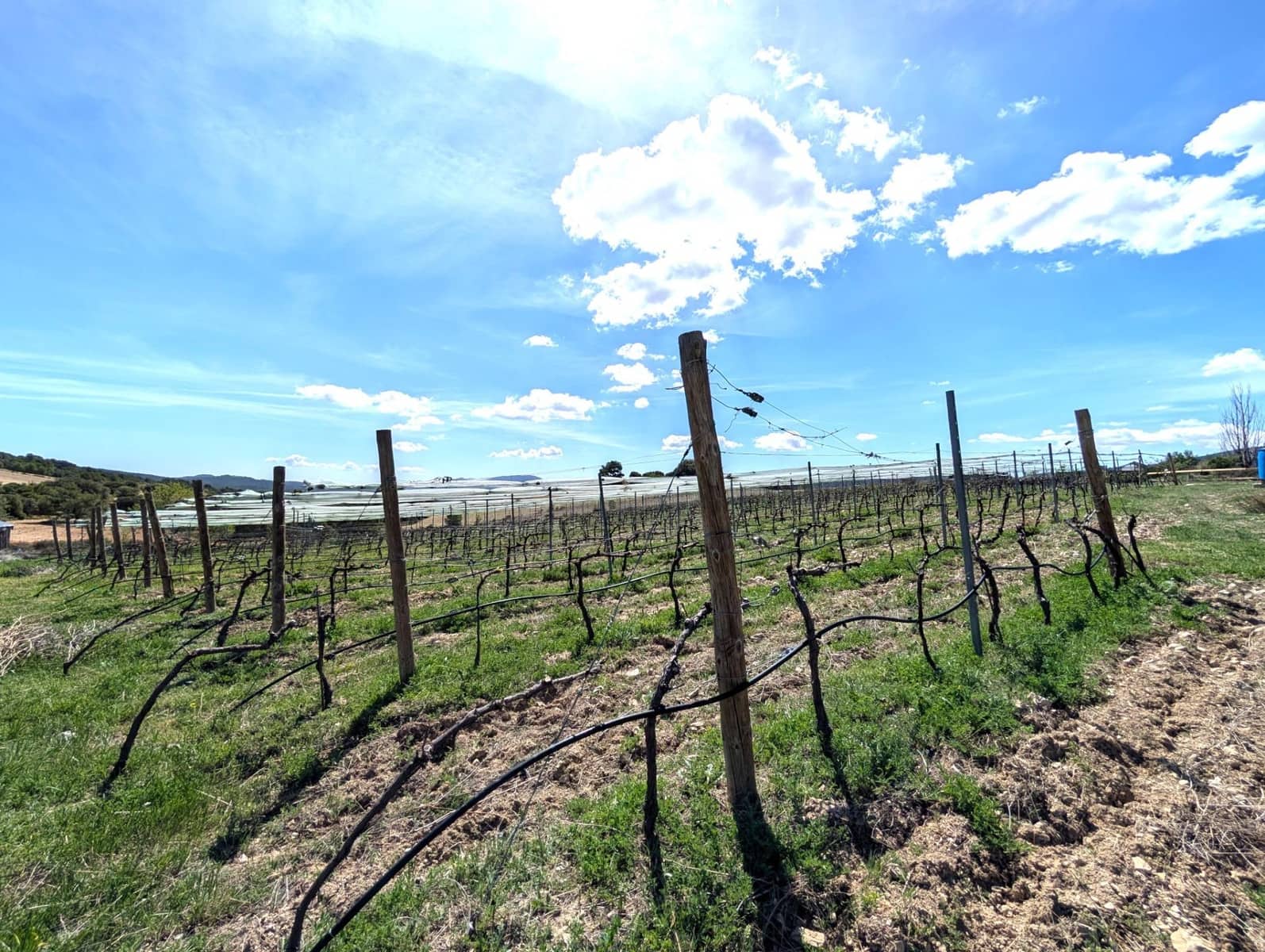 4 soverom Finca/Herregård til salgs i Moratalla - € 950 000 (Ref: 9799408)