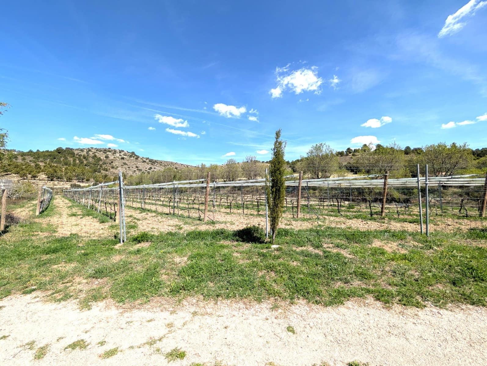 4 soverom Finca/Herregård til salgs i Moratalla - € 950 000 (Ref: 9799408)