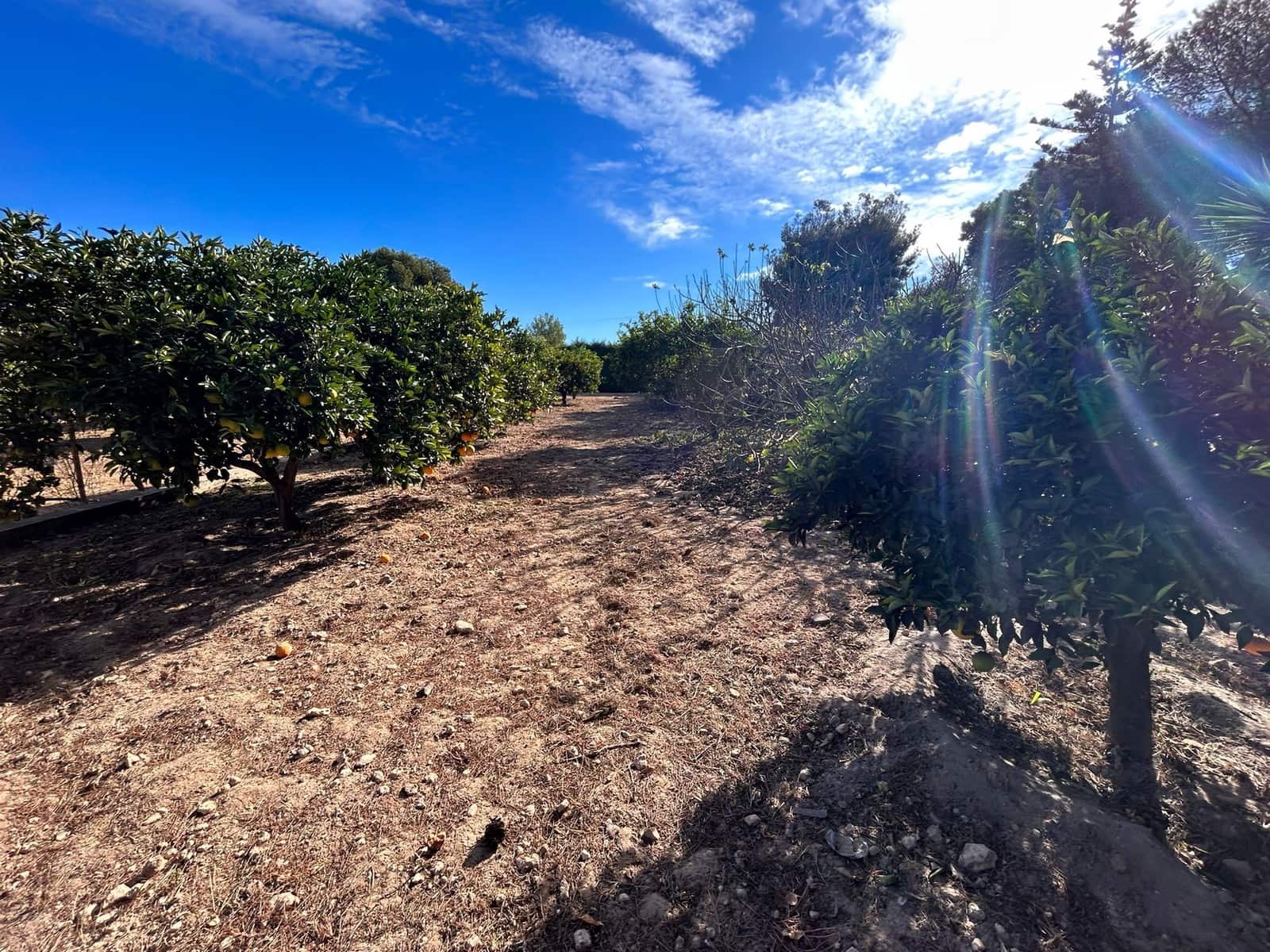 6 Zimmer Villa zu verkaufen in Torrevieja mit Pool Garage - 690.000 € (Ref: 8806709)