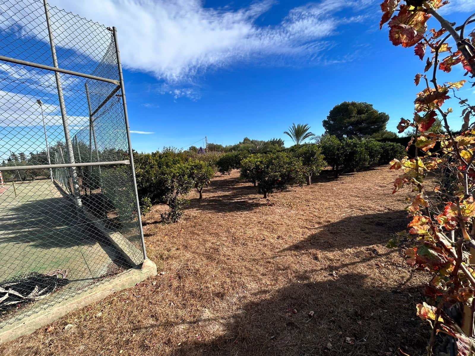 6 Zimmer Villa zu verkaufen in Torrevieja mit Pool Garage - 690.000 € (Ref: 8806709)