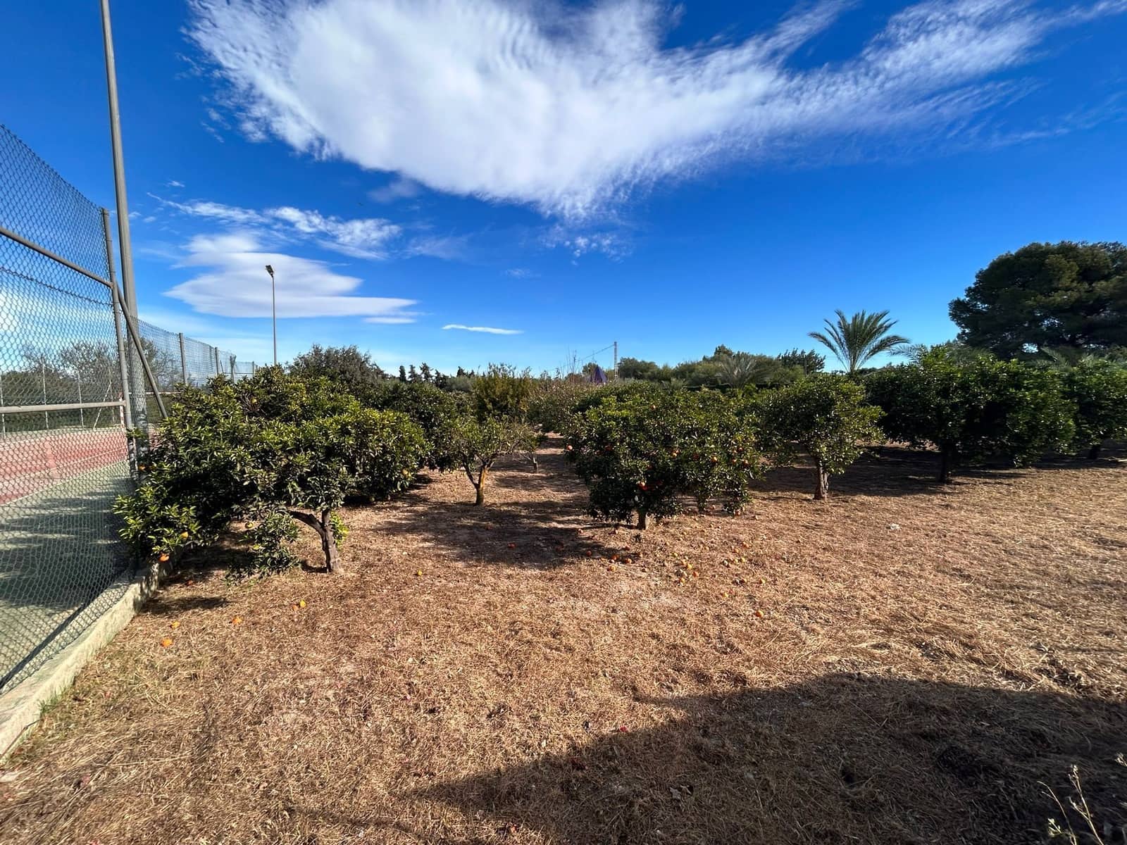 6 Zimmer Villa zu verkaufen in Torrevieja mit Pool Garage - 690.000 € (Ref: 8806709)