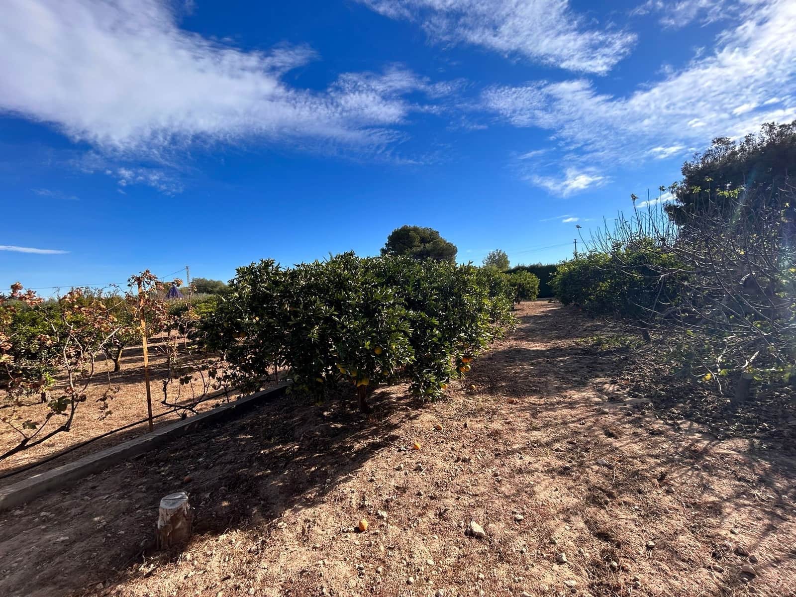 6 Zimmer Villa zu verkaufen in Torrevieja mit Pool Garage - 690.000 € (Ref: 8806709)