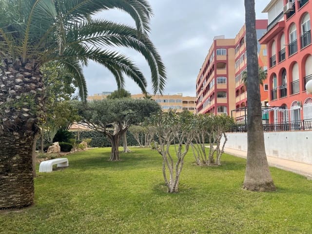 Piso de 1 habitación en Torreblanca, Torrevieja en venta con piscina - 139.900 € (Ref: 8934608)
