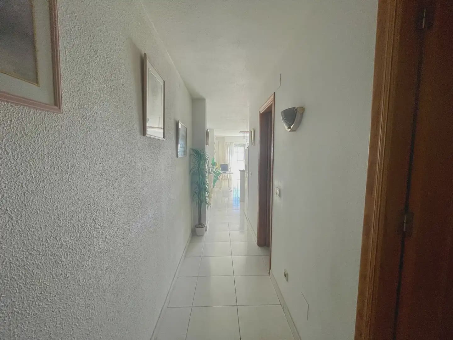 1 quarto Apartamento para venda em Torrevieja - 159 100 € (Ref: 9776012)