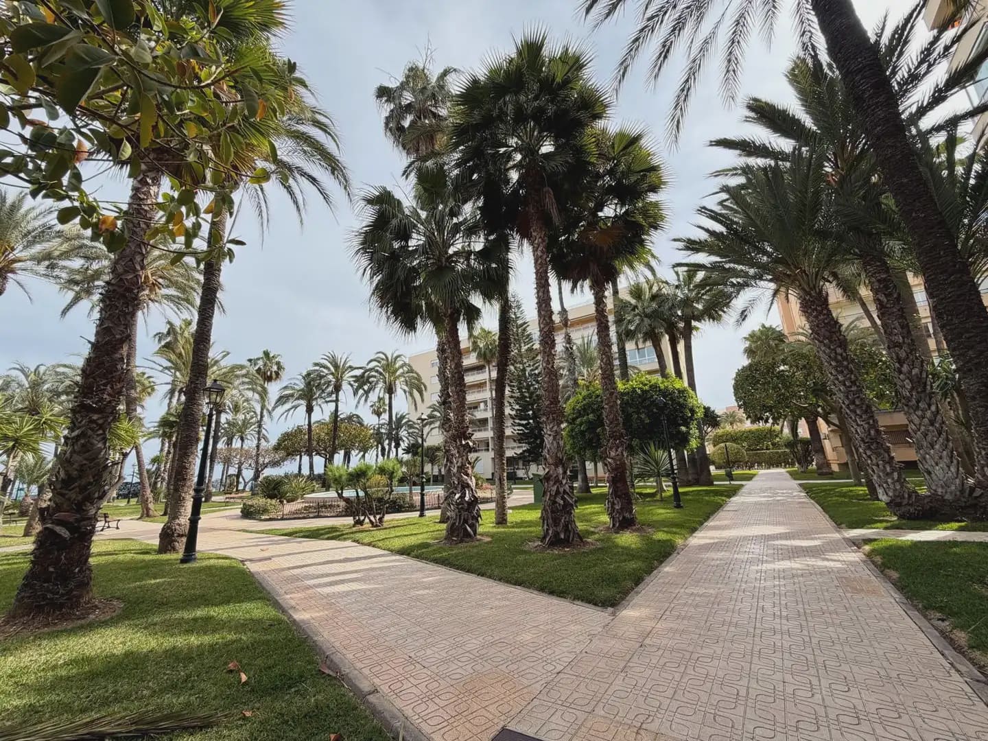 1 soveværelse Lejlighed til salg i Torrevieja med swimmingpool - € 179.900 (Ref: 9821241)