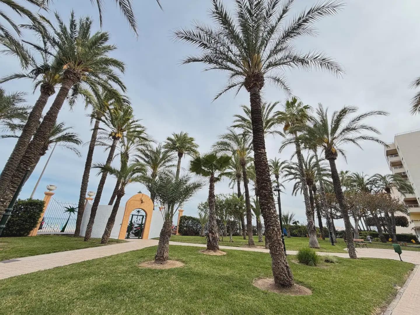 1 soveværelse Lejlighed til salg i Torrevieja med swimmingpool - € 179.900 (Ref: 9821241)