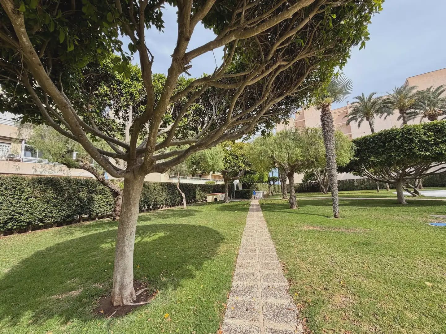 1 soveværelse Lejlighed til salg i Torrevieja med swimmingpool - € 179.900 (Ref: 9821241)