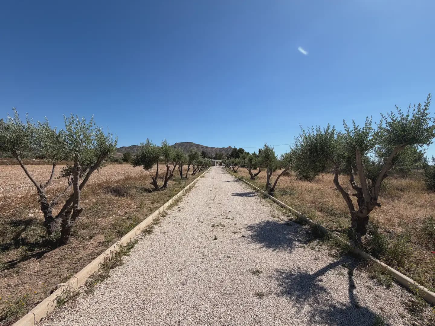 6 soverom Finca/Herregård til salgs i Aspe med svømmebasseng - € 410 000 (Ref: 9902379)