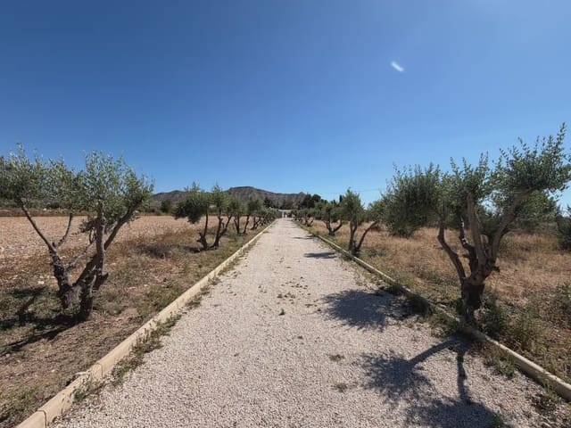 6 soverom Finca/Herregård til salgs i Aspe - € 410 000 (Ref: 9902379)