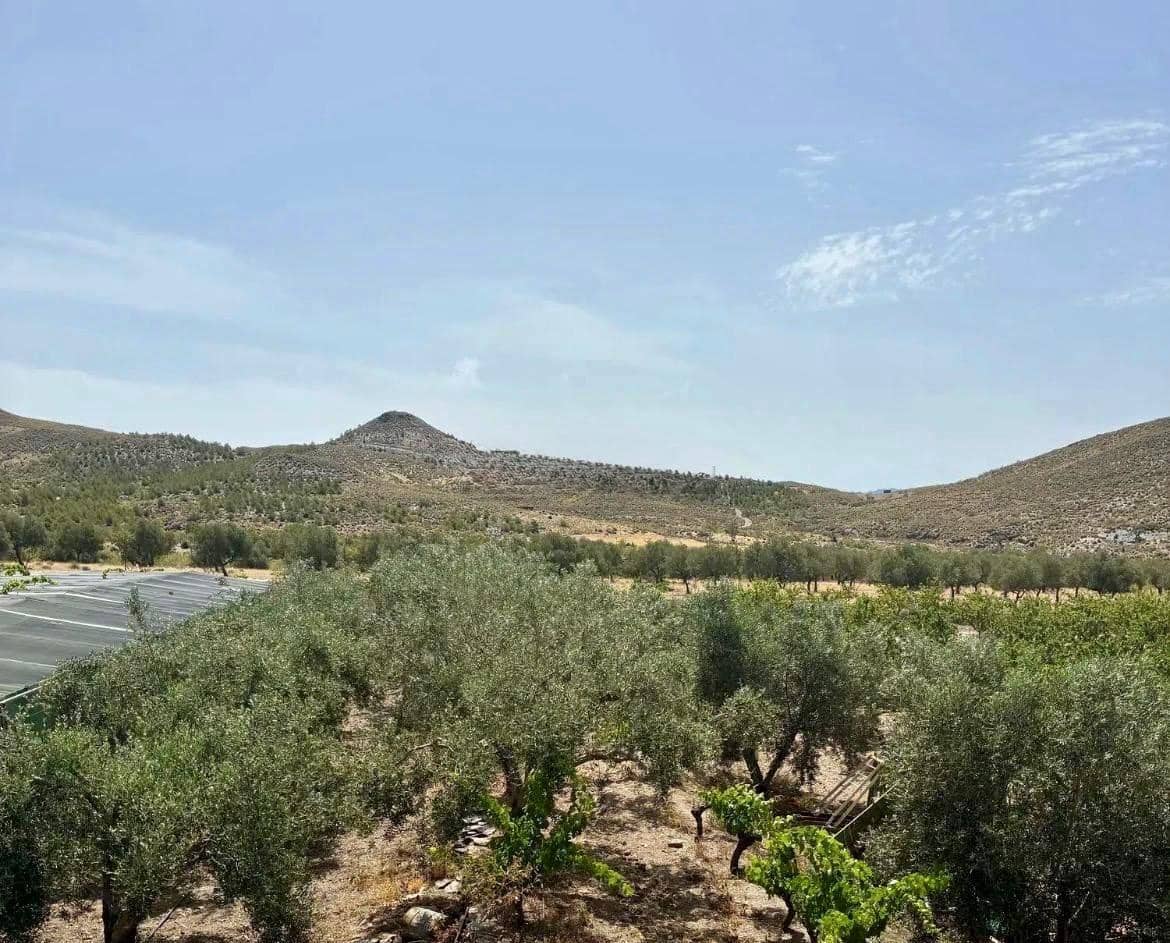 4 bedroom Finca/Country House for sale in Arroyo de Verdelecho - € 175,000 (Ref: 10018971)