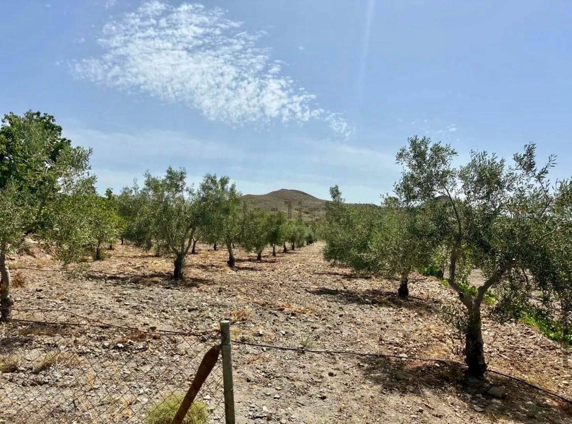 4 bedroom Finca/Country House for sale in Arroyo de Verdelecho - € 175,000 (Ref: 10018971)
