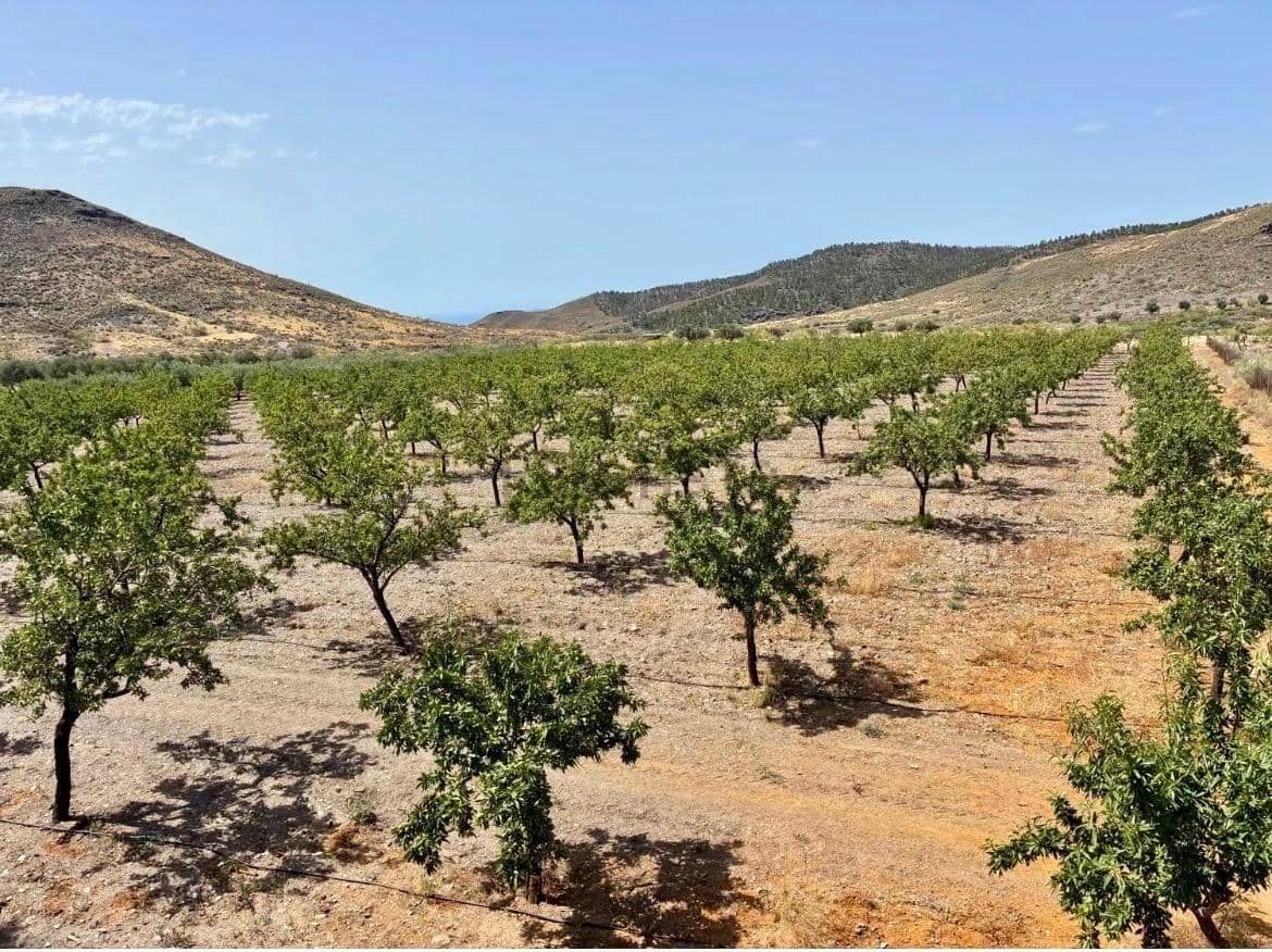 4 bedroom Finca/Country House for sale in Arroyo de Verdelecho - € 175,000 (Ref: 10018971)
