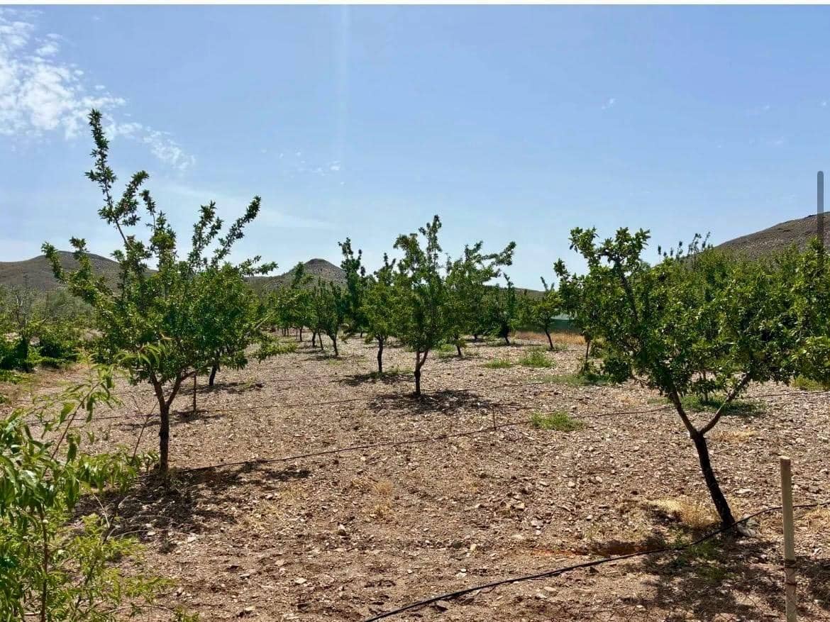 4 bedroom Finca/Country House for sale in Arroyo de Verdelecho - € 175,000 (Ref: 10018971)