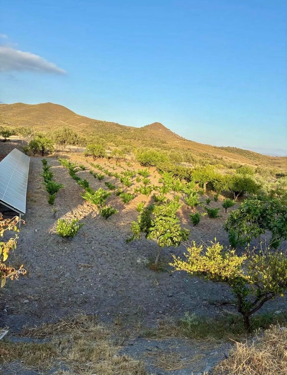 4 bedroom Finca/Country House for sale in Arroyo de Verdelecho - € 175,000 (Ref: 10018971)