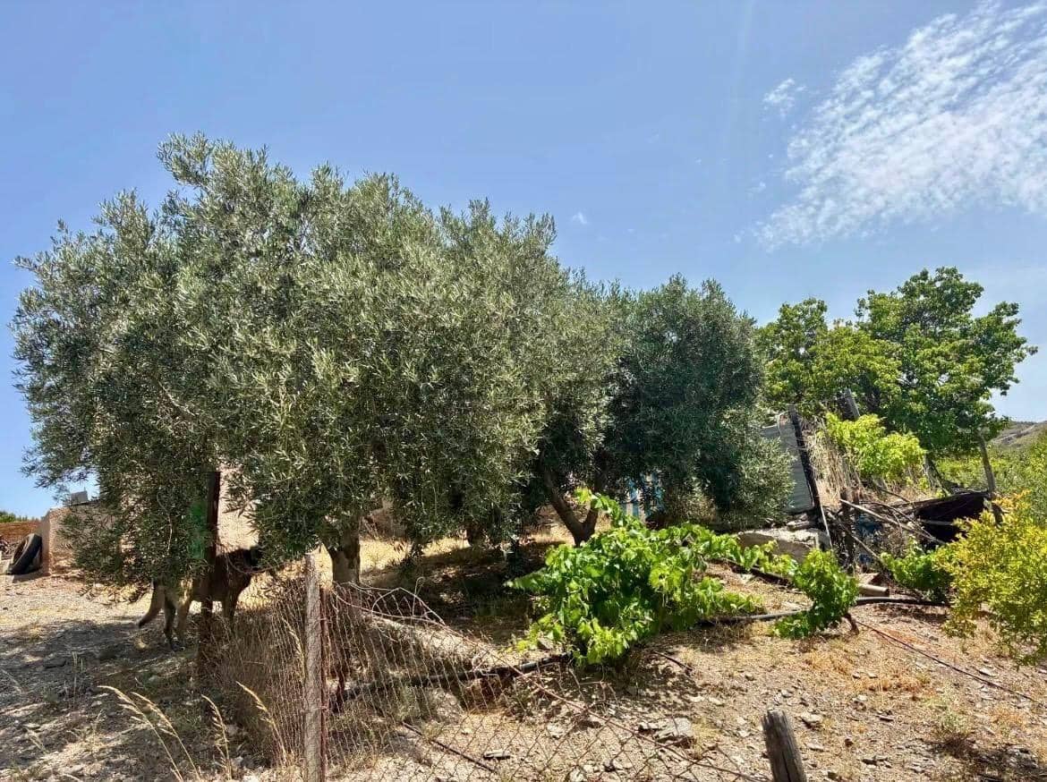 4 bedroom Finca/Country House for sale in Arroyo de Verdelecho - € 175,000 (Ref: 10018971)