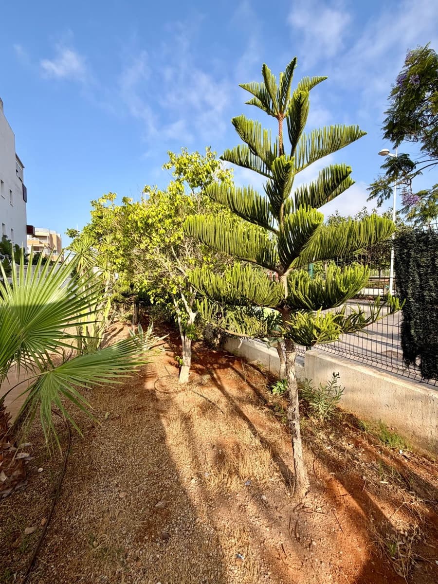2 bedroom Apartment for sale in Almeria city with pool - € 330,000 (Ref: 10049513)