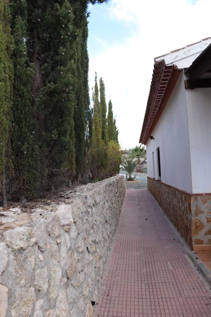 3 sypialnia Finka/Dom wiejski na sprzedaż w Velez-Blanco - 299 950 € (Ref: 8789940)