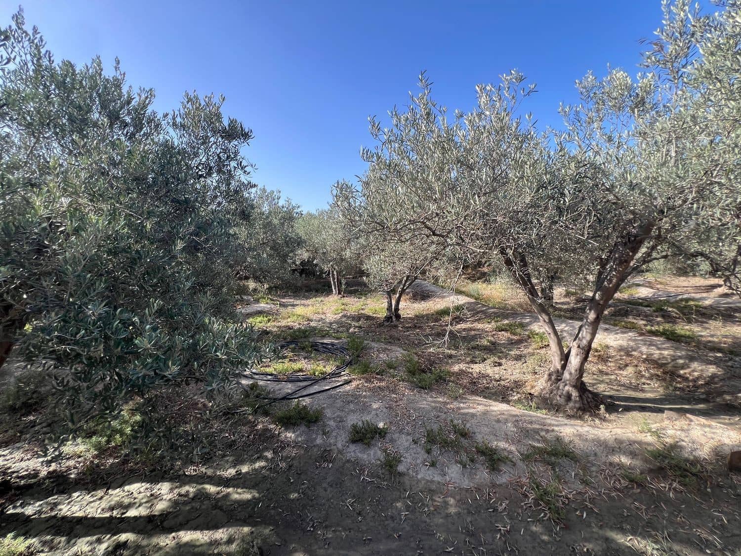 3 makuuhuone Maalaistalo myytävänä paikassa Viator - 185 000 € (Ref: 8789961)