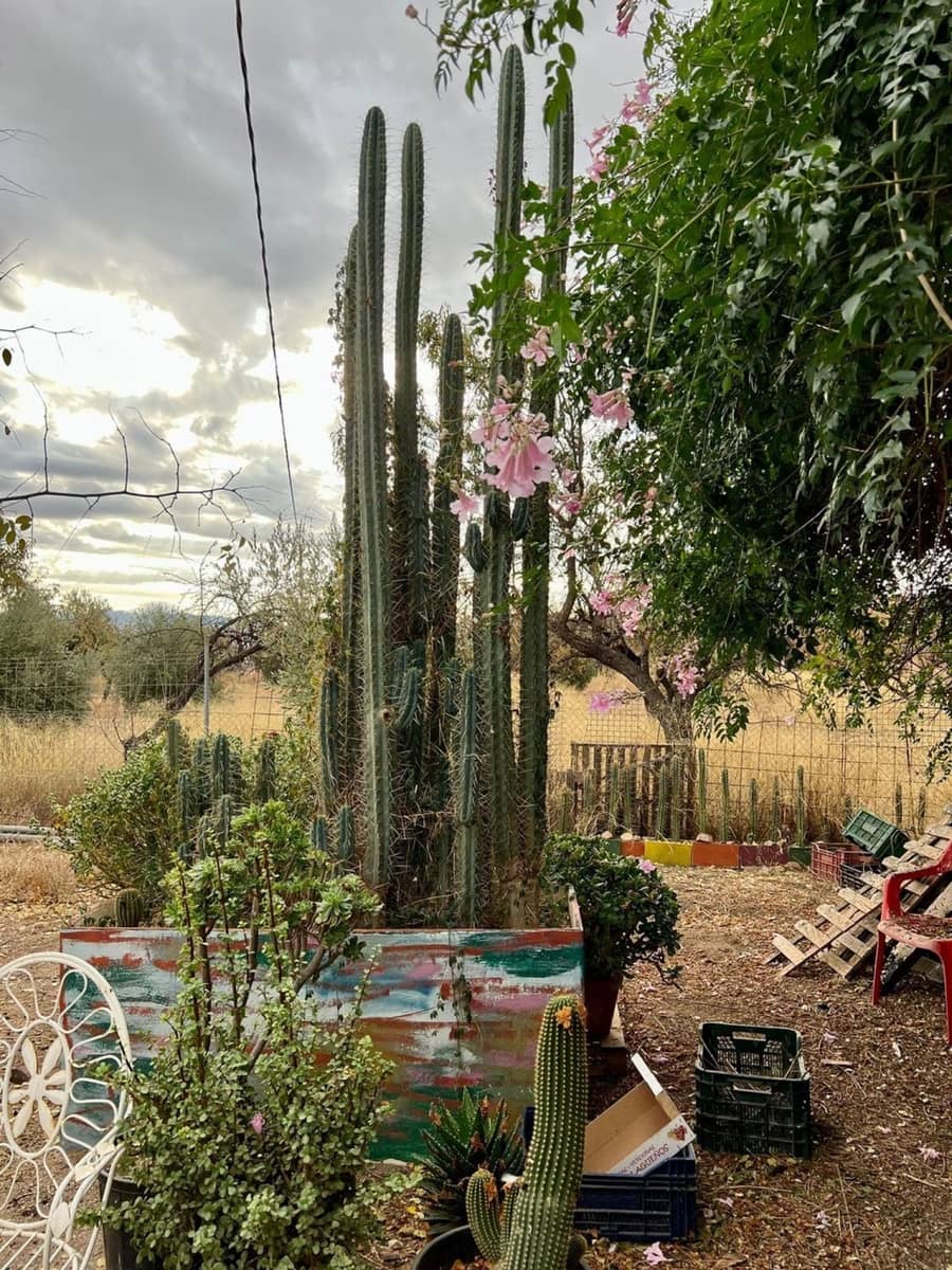 5 soverom Finca/Herregård til salgs i Gergal med svømmebasseng - € 195 000 (Ref: 8789988)