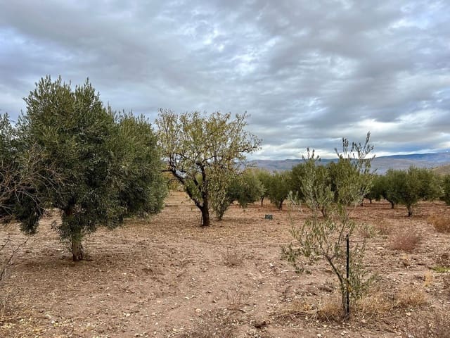 5 soverom Finca/Herregård til salgs i Gérgal med svømmebasseng - € 195 000 (Ref: 8789988)