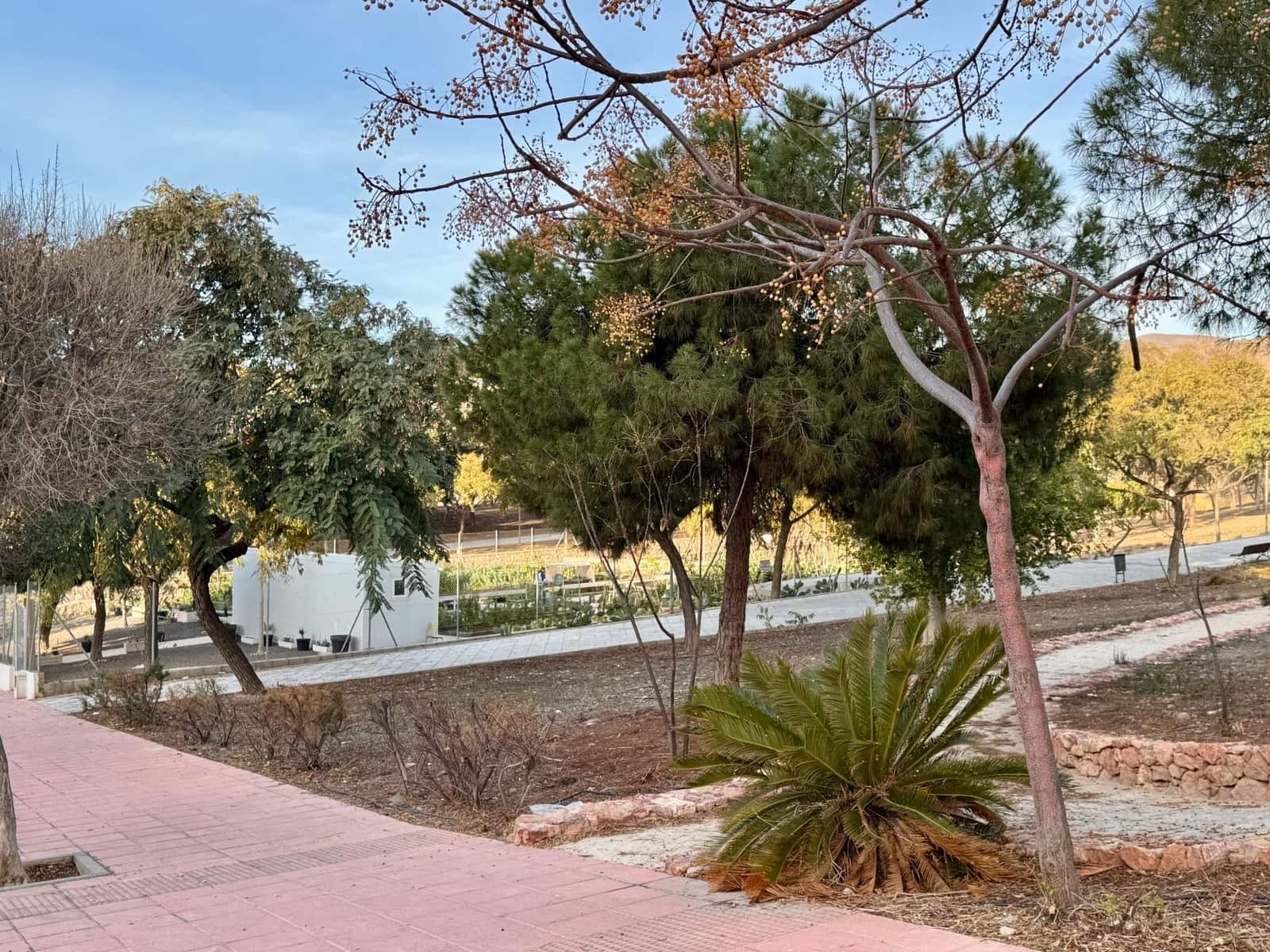 Kommersiell till salu i Almeria stad - 170 000 € (Ref: 8789995)