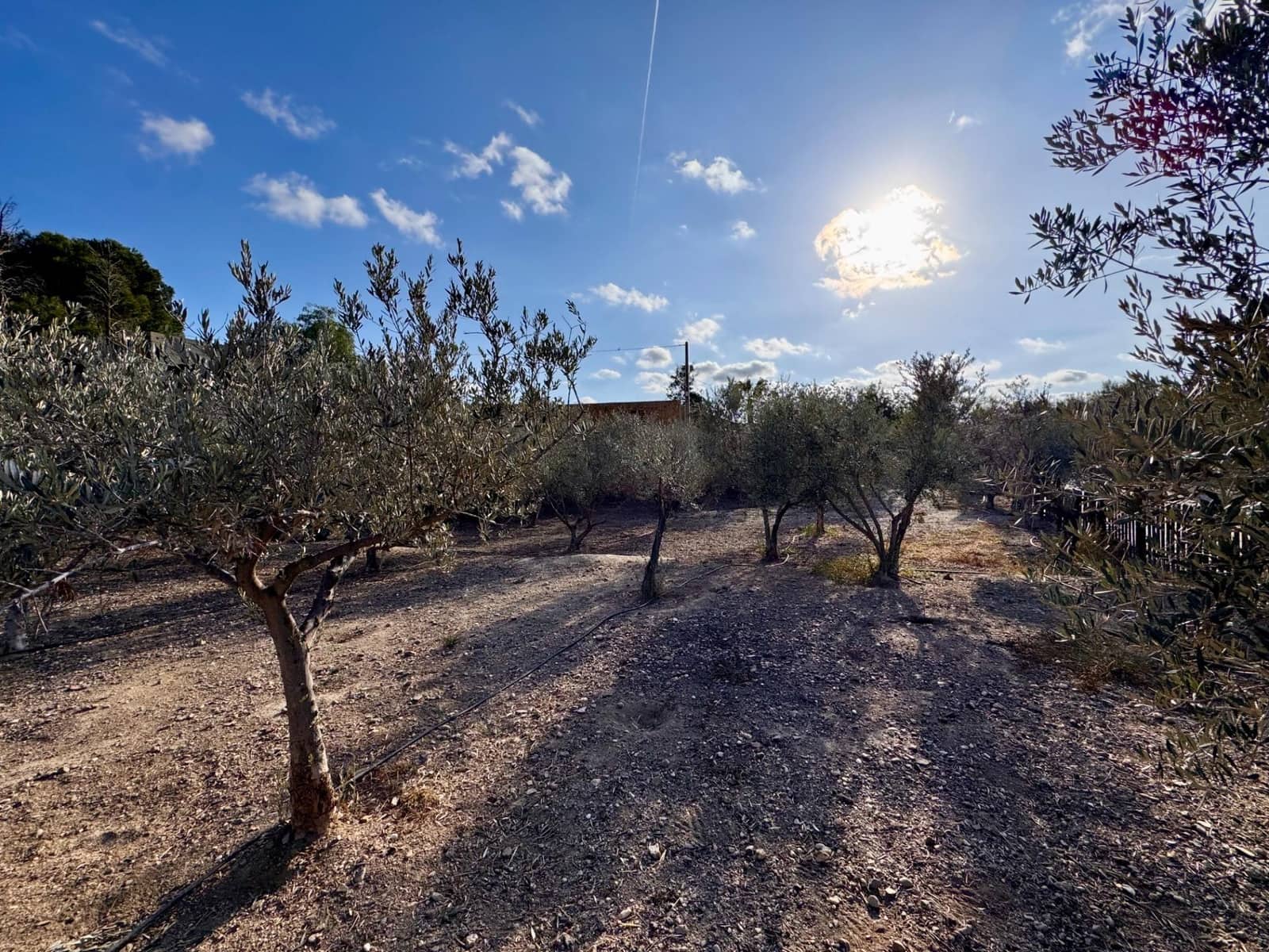 6 sypialnia Willa na sprzedaż w Pechina z basenem garażem - 319 000 € (Ref: 8841090)