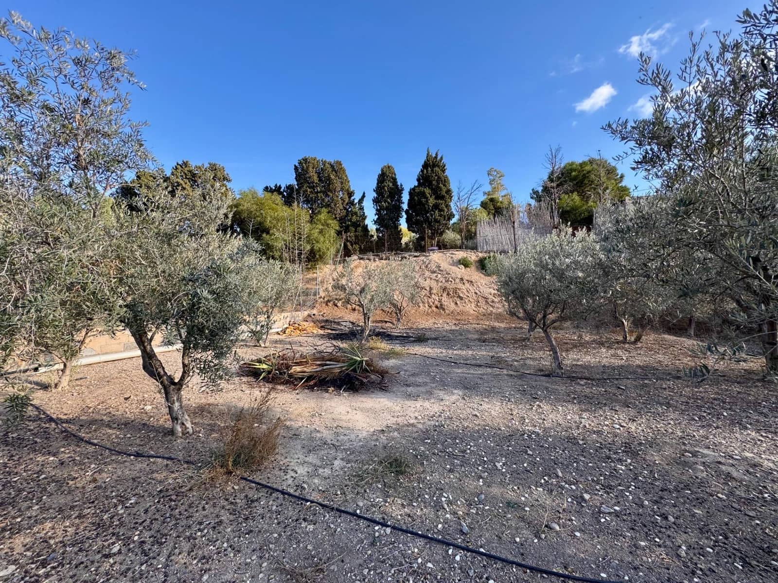 6 sypialnia Willa na sprzedaż w Pechina z basenem garażem - 319 000 € (Ref: 8841090)