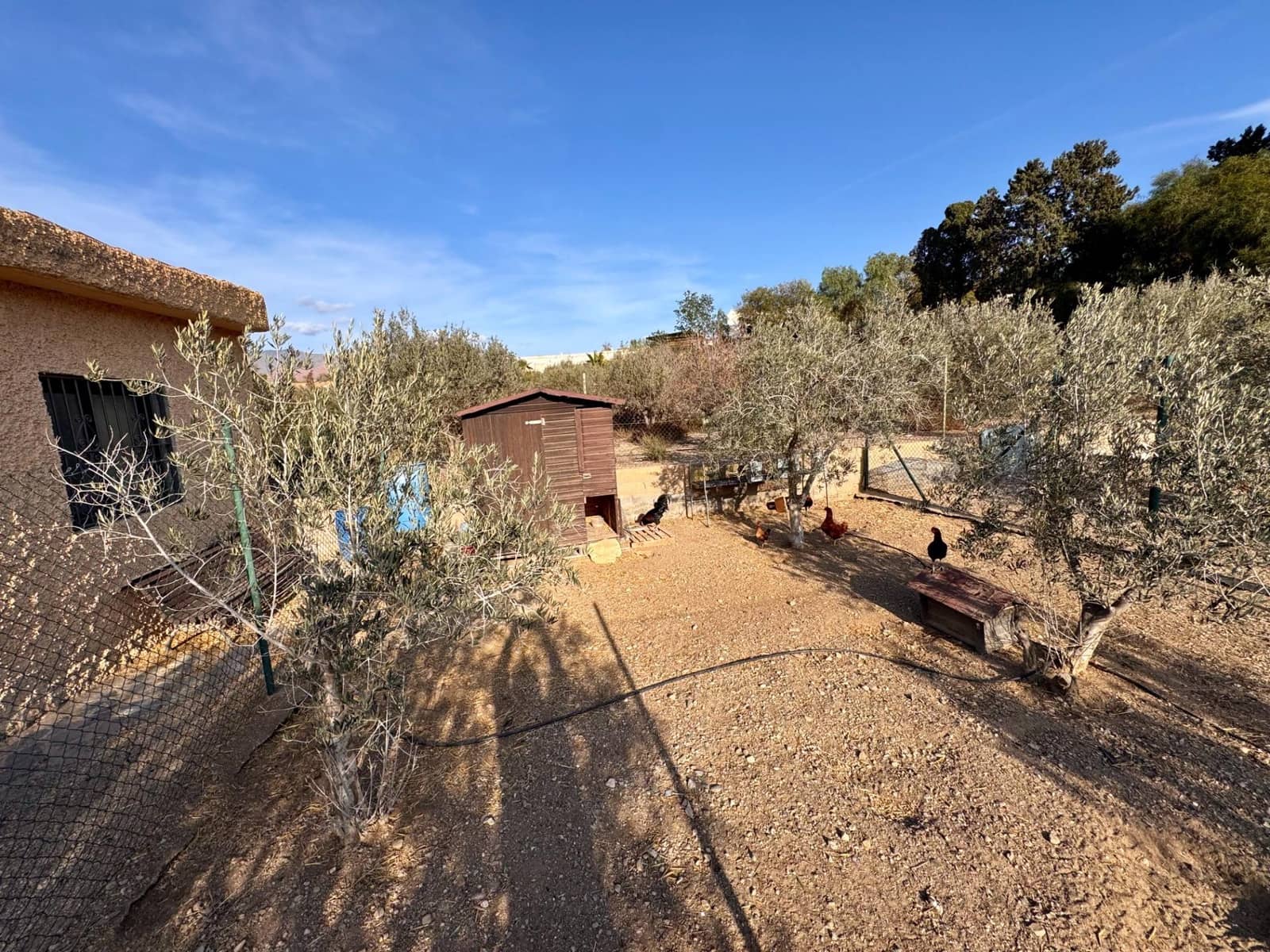 6 sypialnia Willa na sprzedaż w Pechina z basenem garażem - 319 000 € (Ref: 8841090)