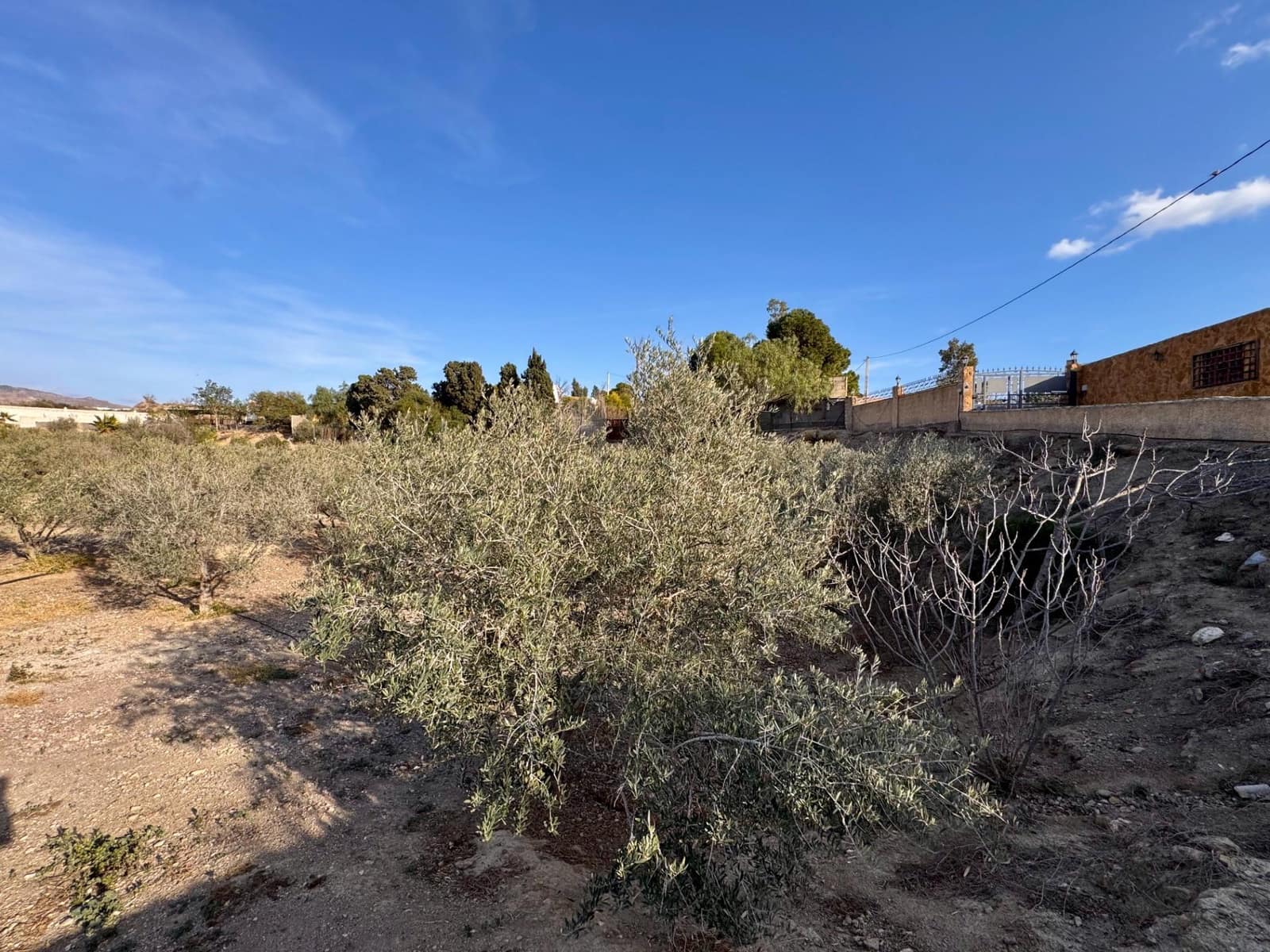 6 sypialnia Willa na sprzedaż w Pechina z basenem garażem - 319 000 € (Ref: 8841090)