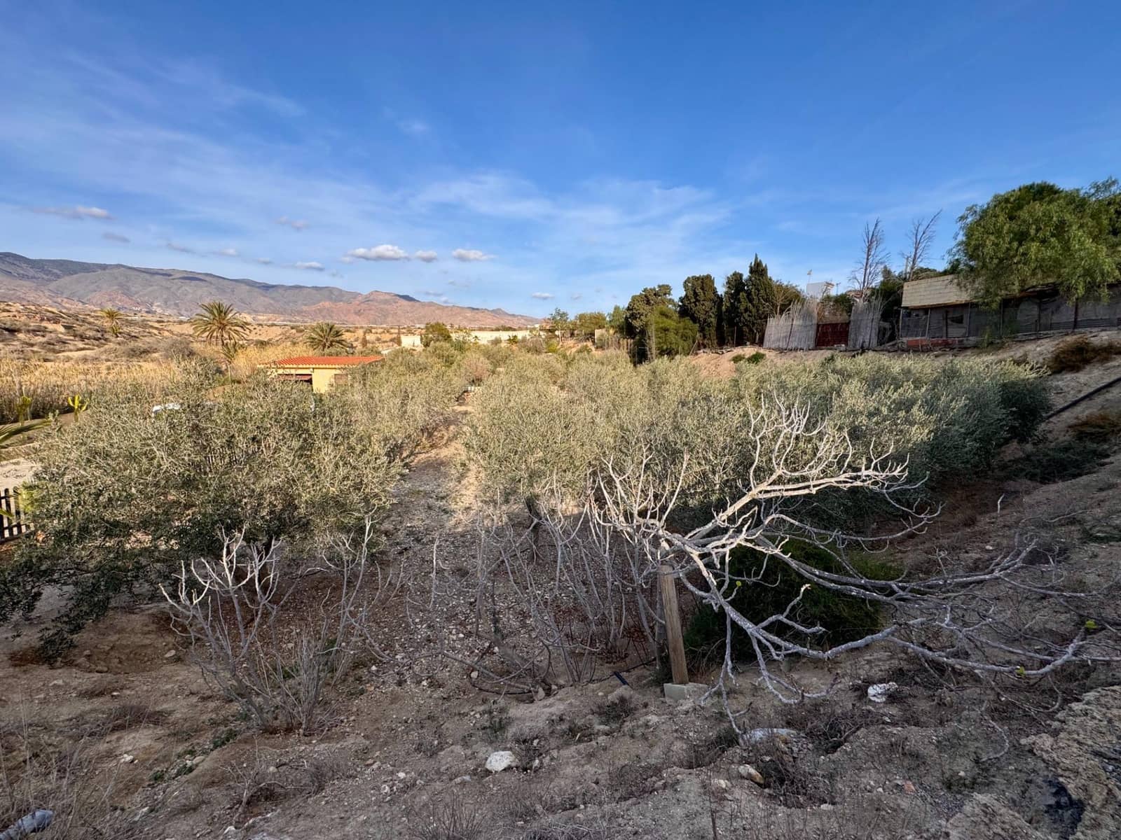 6 sypialnia Willa na sprzedaż w Pechina z basenem garażem - 319 000 € (Ref: 8841090)