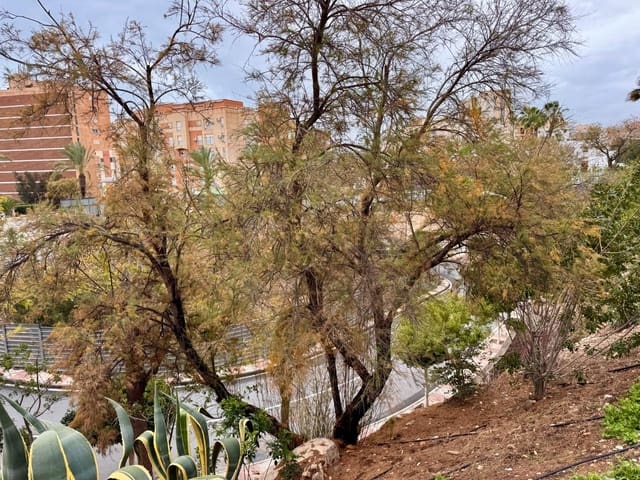 1 slaapkamer Appartement te koop in Aguadulce (Almeria), Roquetas de Mar - € 109.900 (Ref: 8874781)