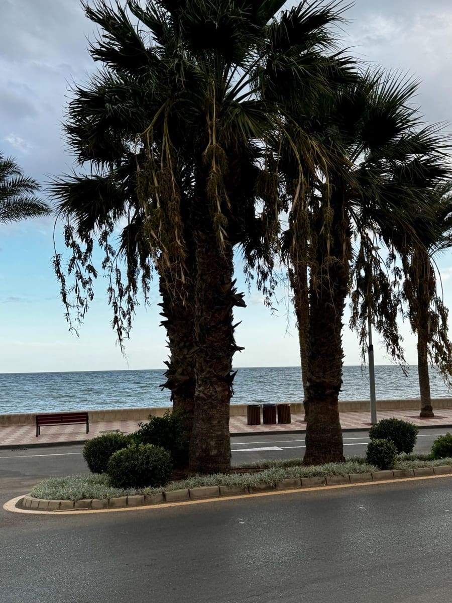 5 makuuhuone Rivitalo myytävänä paikassa Aguadulce (Almeria) mukana uima-altaan - 650 000 € (Ref: 9343425)