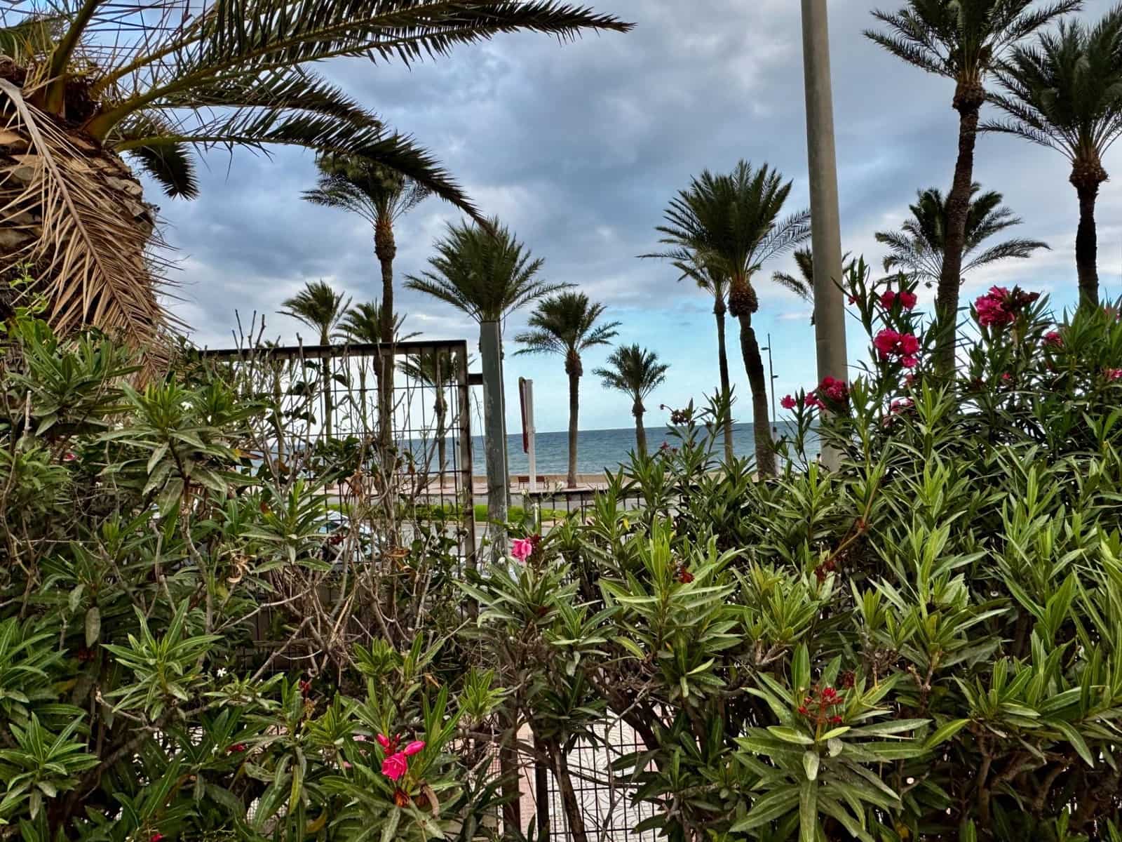 5 makuuhuone Rivitalo myytävänä paikassa Aguadulce (Almeria) mukana uima-altaan - 650 000 € (Ref: 9343425)