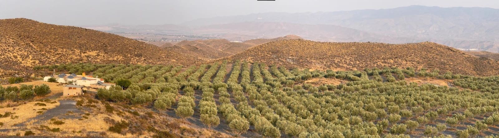 4 soverom Finca/Herregård til salgs i Tabernas - € 350 000 (Ref: 9343433)