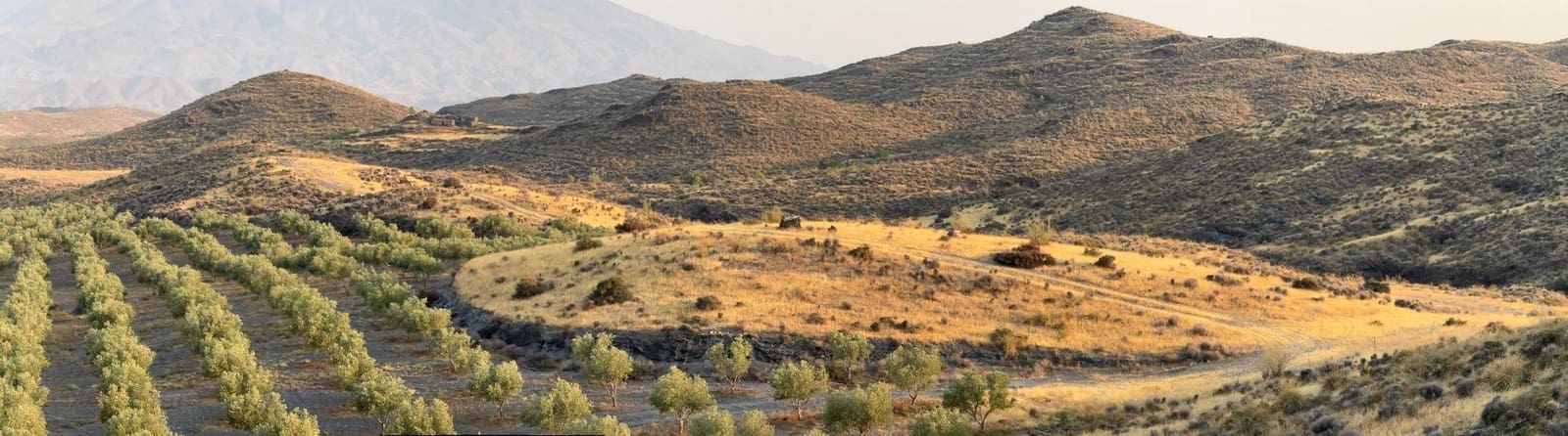 4 soverom Finca/Herregård til salgs i Tabernas - € 350 000 (Ref: 9343433)