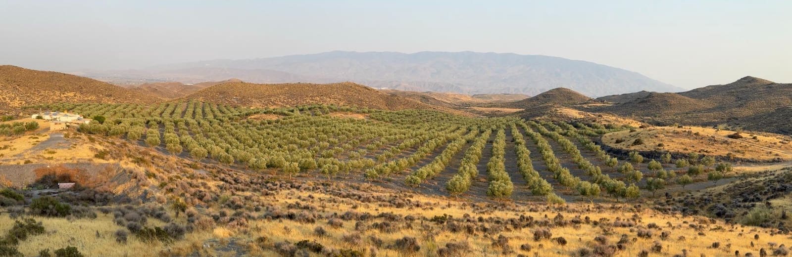 4 soverom Finca/Herregård til salgs i Tabernas - € 350 000 (Ref: 9343433)