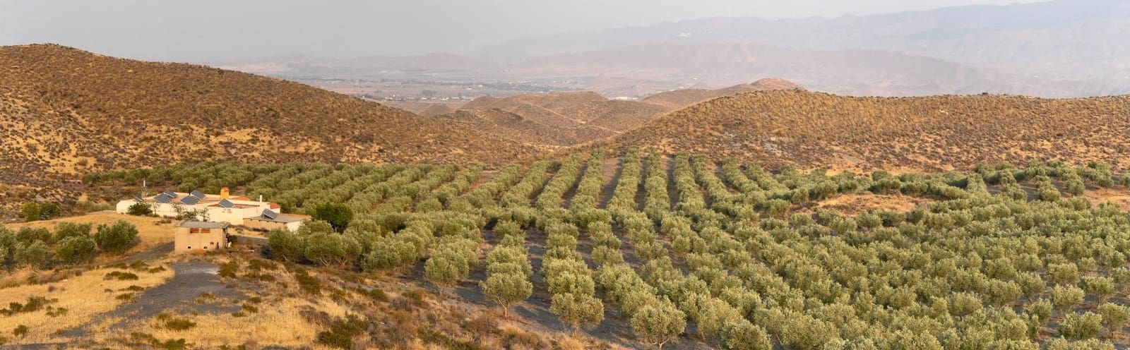 4 soverom Finca/Herregård til salgs i Tabernas - € 350 000 (Ref: 9343433)