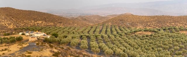 4 soveværelse Finca/Landehus til salg i Tabernas - € 350.000 (Ref: 9343433)