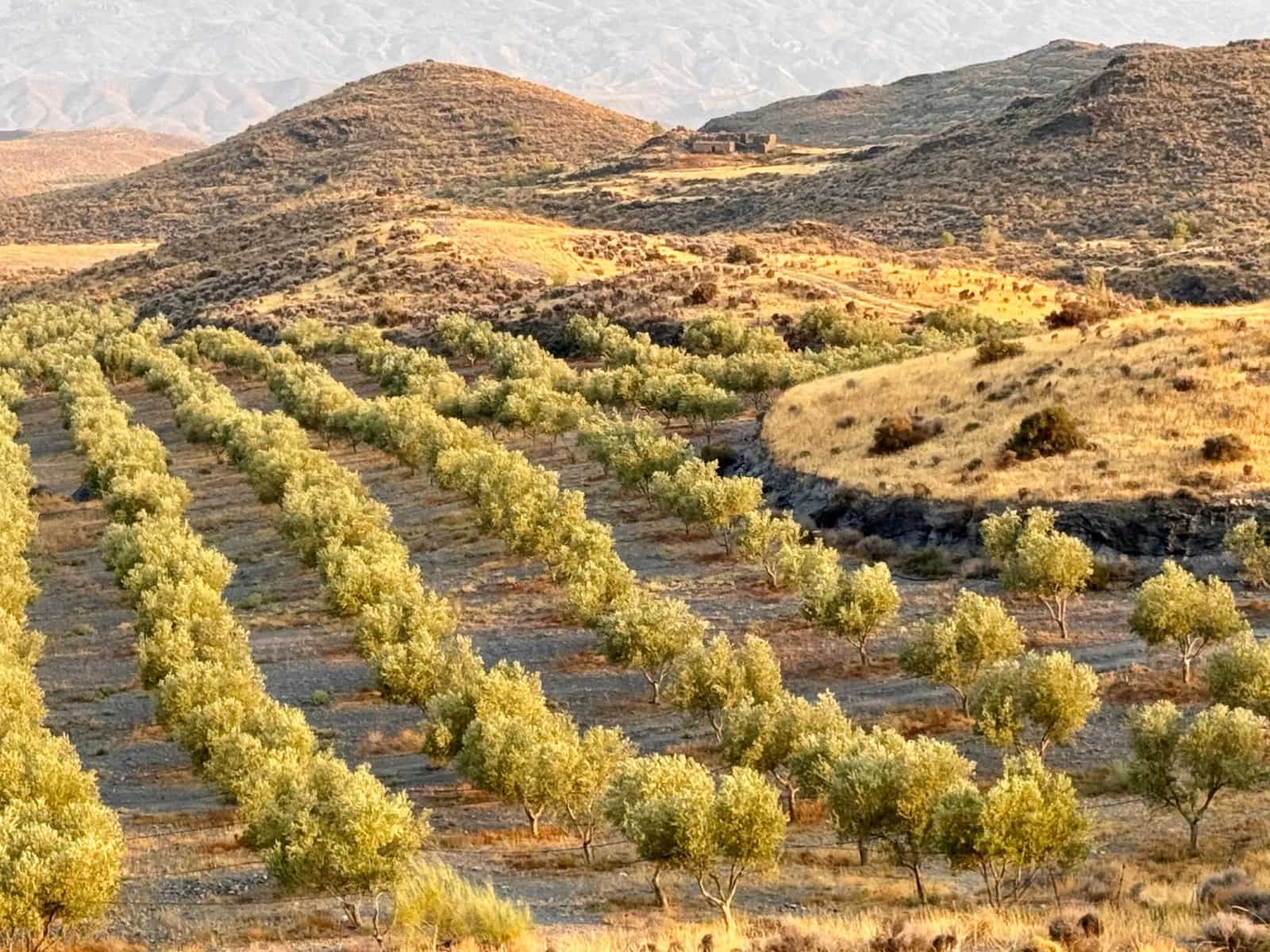 4 soverom Finca/Herregård til salgs i Tabernas - € 350 000 (Ref: 9343433)