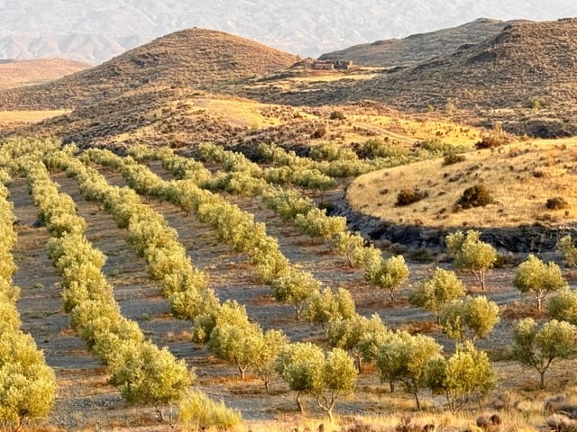 4 soveværelse Finca/Landehus til salg i Tabernas - € 350.000 (Ref: 9343433)