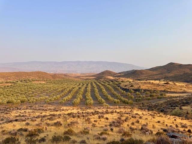 4 soveværelse Finca/Landehus til salg i Tabernas - € 350.000 (Ref: 9343433)