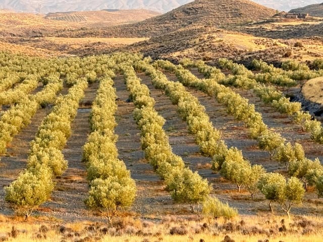 4 soveværelse Finca/Landehus til salg i Tabernas - € 350.000 (Ref: 9343433)