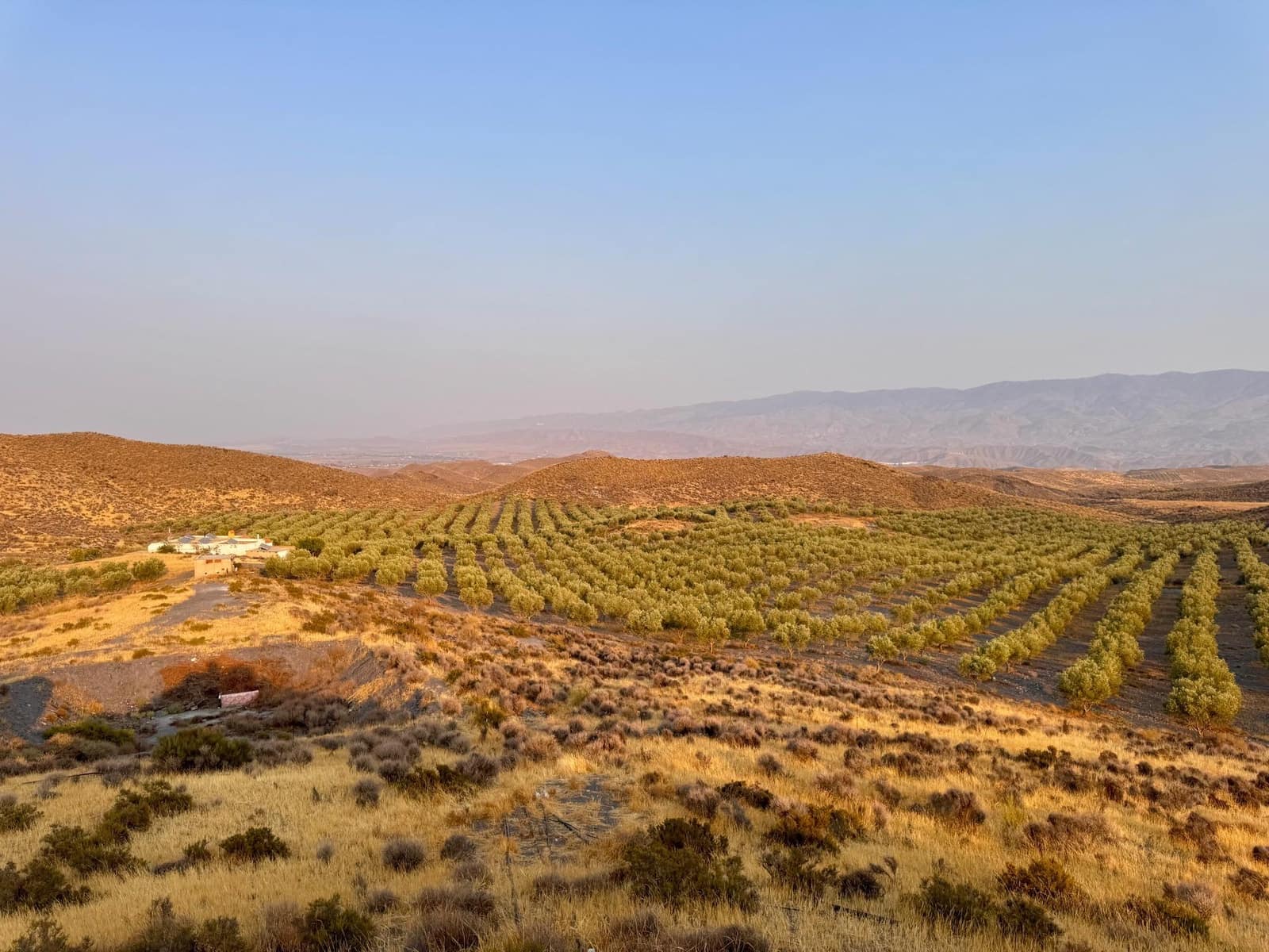 4 soverom Finca/Herregård til salgs i Tabernas - € 350 000 (Ref: 9343433)