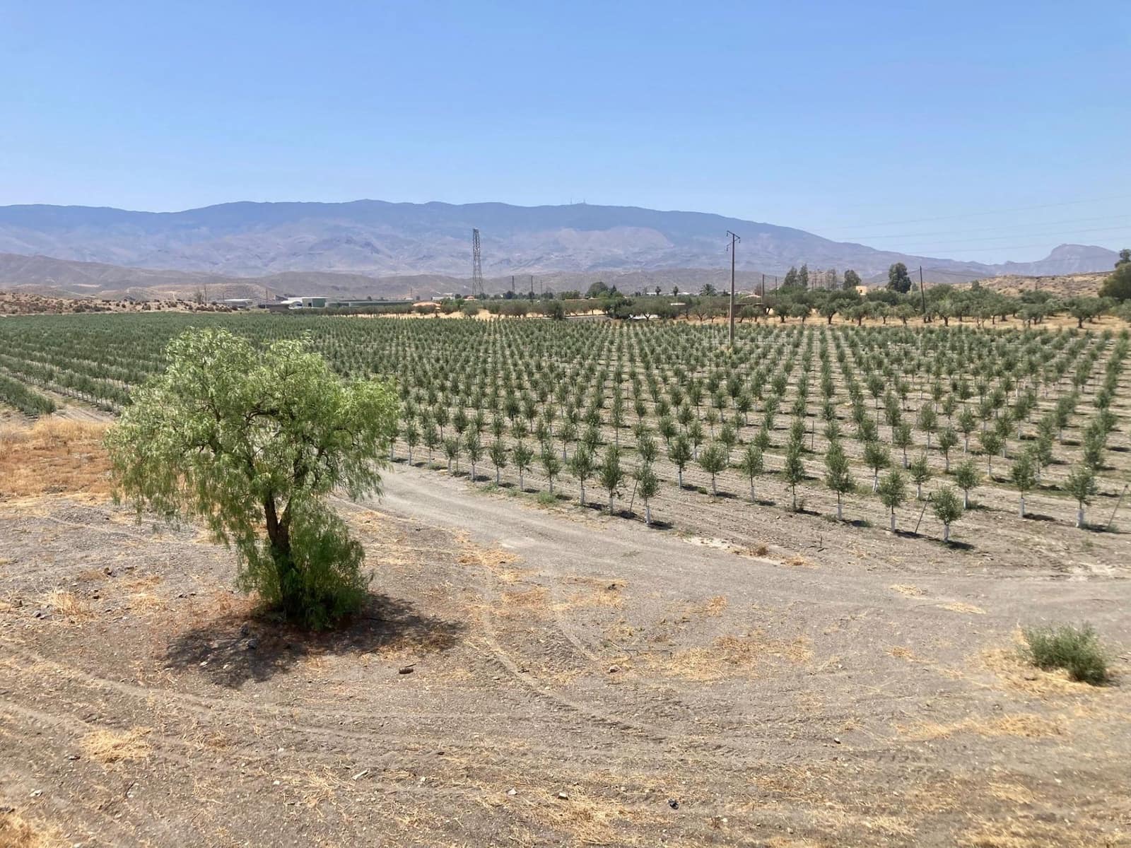 4 soverom Finca/Herregård til salgs i Tabernas - € 350 000 (Ref: 9343433)