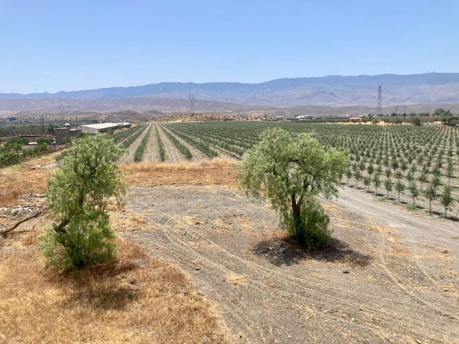 4 soverom Finca/Herregård til salgs i Tabernas - € 350 000 (Ref: 9343433)