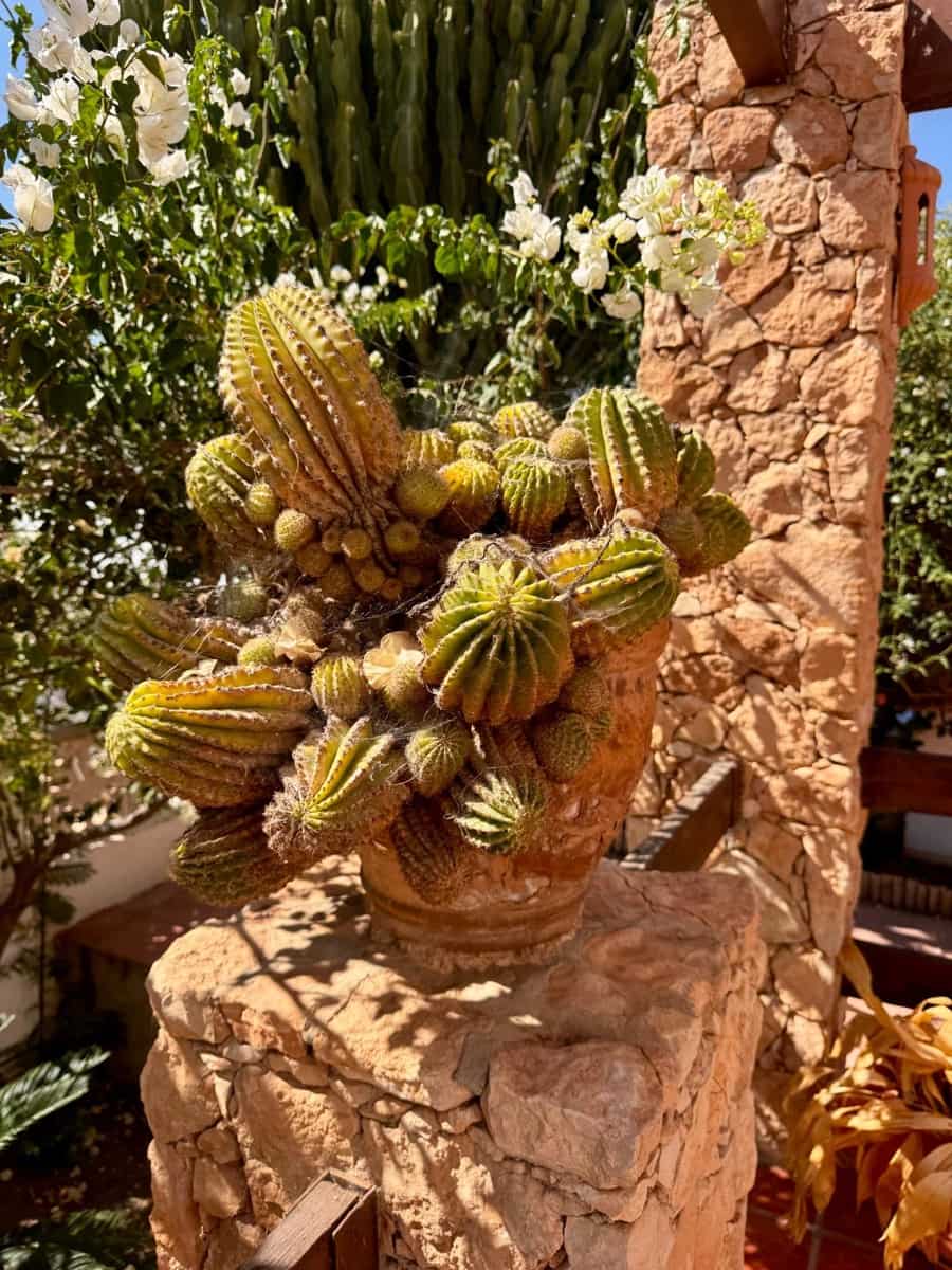 4 camera da letto Villa in vendita in Las Negras con piscina - 600.000 € (Rif: 9343446)