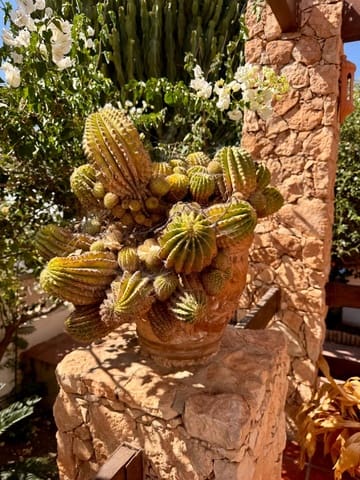 4 soverom Villa til salgs i Las Negras, Níjar med svømmebasseng - € 600 000 (Ref: 9343446)