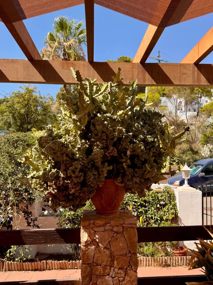 4 camera da letto Villa in vendita in Las Negras con piscina - 600.000 € (Rif: 9343446)