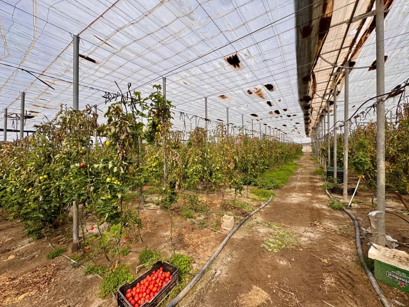 11 soveværelse Finca/Landehus til salg i Almeria by - € 350.000 (Ref: 9343448)